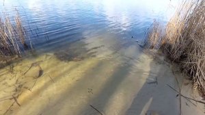 Оснастка: Сплит-Шот 8 гр. Когда лень вязать отводной! Поиски активного окуня