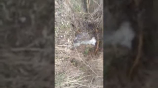 Вода бьет из недр