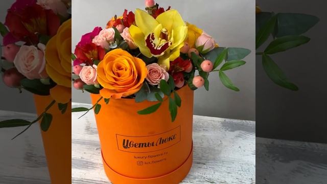 Энергия жизни.mp4