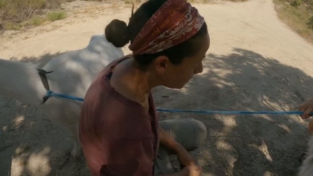 Big change and Difficult decisions on our off grid homestead смотреть онлайн