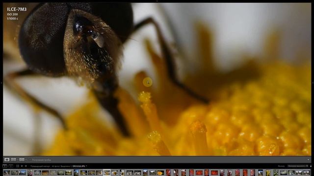 Обзор AstrHori 85mm F/2.8 Macro TILT (Sony E, Fujifilm X, Canon RF, Nikon Z, Leica L) Макроообъекти