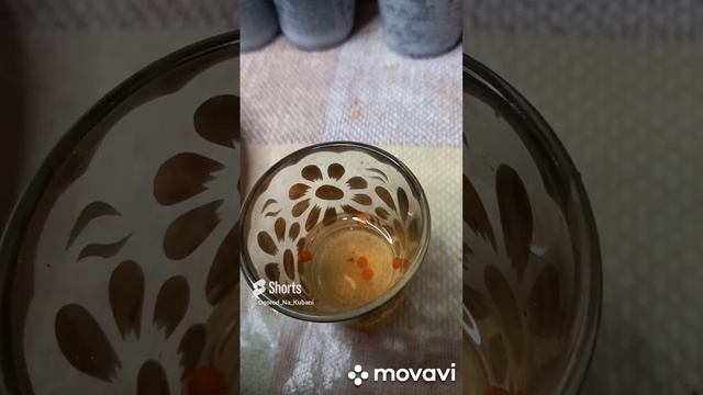 СЛАДКИЙ ПЕРЕЦ ИСПАНСКИЙ БЫК. 3 РАЗНЫХ СПОСАБА ОБРАБОТКИ СЕМЯН. ОГОРОД НА КУБАНИ.shorts# смотреть онлайн