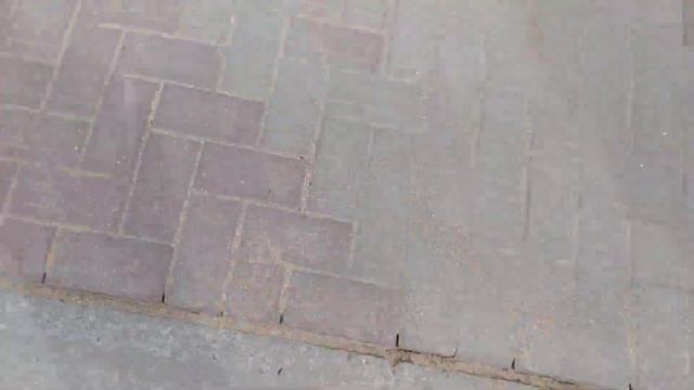 Путешествие в Геленджик!) смотреть онлайн