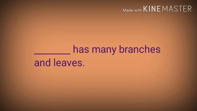 Summative Assessment Revision смотреть онлайн