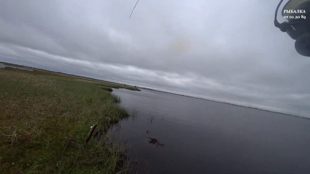 Щука и окунь проснулись! Хорошее начало сезона спиннинга. Рыбалка 2020 на спиннинг. смотреть онлайн