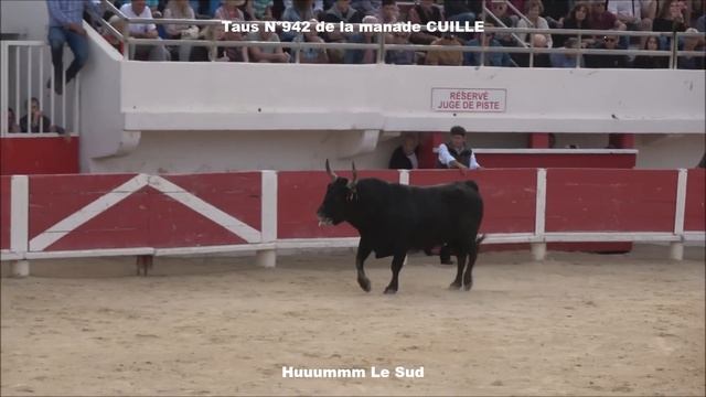 SAINTES-MARIES DE LA MER-Finale des Taus-26/10/2022-Course Camarguaise смотреть онлайн