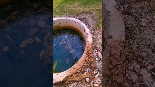 Учебник по Развитию Инноваций