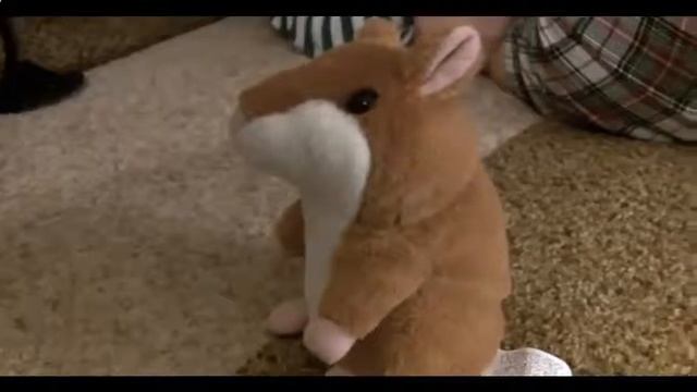 Говорящий хомяк купить в Кирове смотреть онлайн