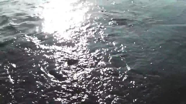 Прогулка под Алыми парусами l Нижнекамск l Видео со "Штандарта" смотреть онлайн