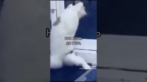 fe202f252e1235c341ca94bab8377e67.mp4