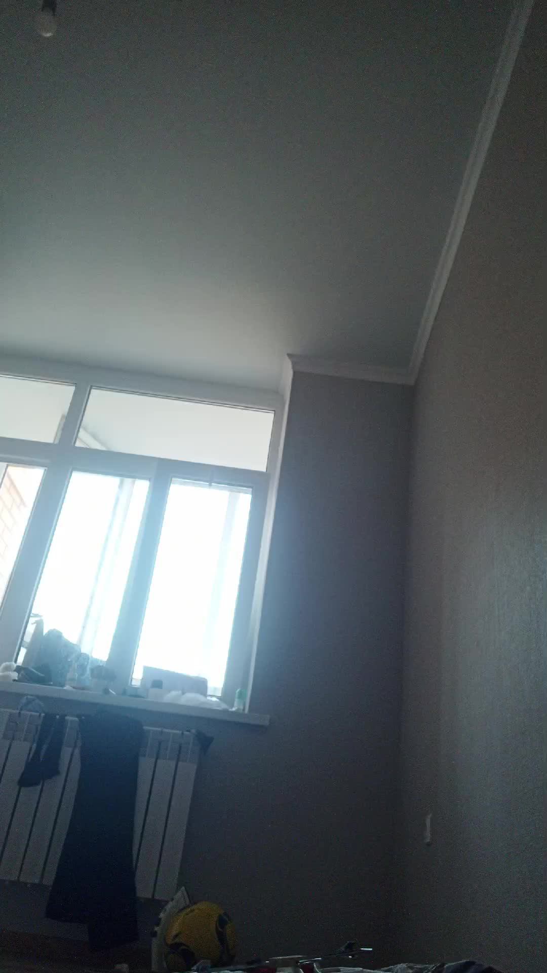 школа акулы