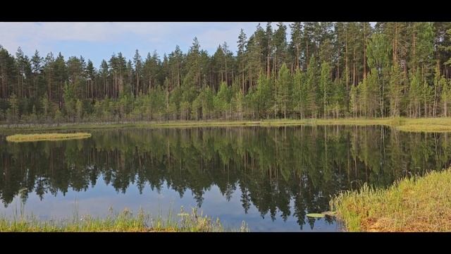 Змеиный след. Уральские сказы, П.П. Бажова смотреть онлайн