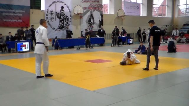 tatami 2 14 смотреть онлайн