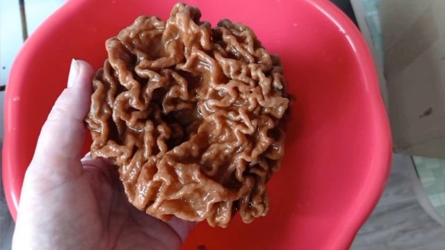Жареные Сморчки? Жареные в сметане Строчки ? Угощаю.. смотреть онлайн