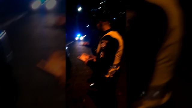 Доблестная полиция, а так же её беспредел. Часть 2 смотреть онлайн