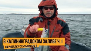 В Калининградском  заливе ч.1 / На рыбалку с Кузьминым 3 // №13