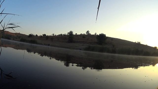 Золотой карась Вот это клев смотреть онлайн