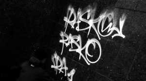 Rasko / the video. (граффити краска TRANE)