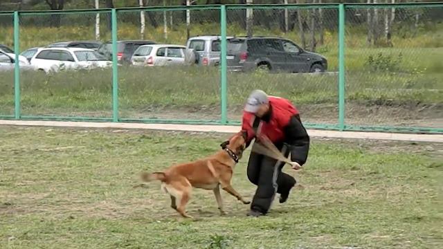 Малинуа Тэффи_3 упр. Соревнование "Лучший Защитник". 2015 смотреть онлайн