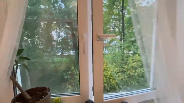 3-комнатная квартира: г. Санкт-Петербург, ул. Бассейная, д. 77 смотреть онлайн