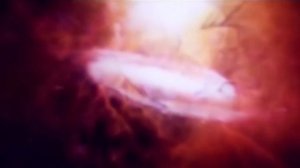 Что Чувствует Человек Когда Умирает?