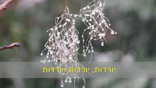 שכל דמעה смотреть онлайн