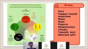 Система У-Син для вашего здоровья. Круг Усин , что такое У-Син. Секреты восточной медицины.