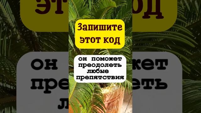 Запишите этот магический код, он поможет преодолеть любые препятствия смотреть онлайн