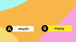 MUCH MANY A LOT OF QUIZ (CORRECT VERSION) | ENGLISH GRAMMAR TEST | ELEMENTARY A1