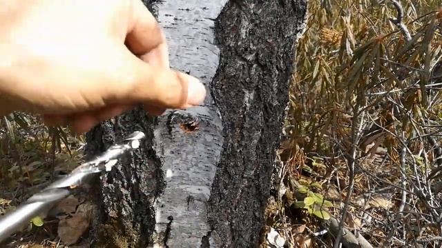 Грибные поделки в стиле азии