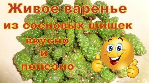 Живое варенье из сосновых шишек.Часть 1.