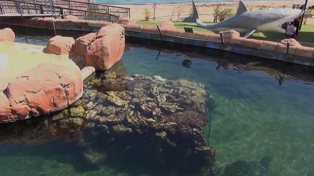 Парк подводной обсерватории в Эйлате смотреть онлайн