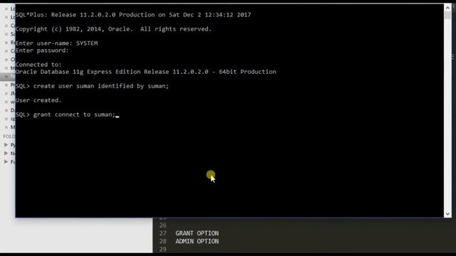 Grants With Admin Option - Create roles in Oracle Part1 смотреть онлайн
