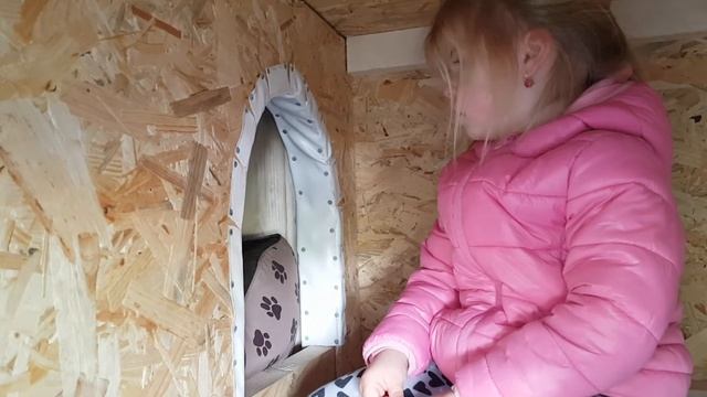 Дедуля пастроил будку собаки смотреть онлайн