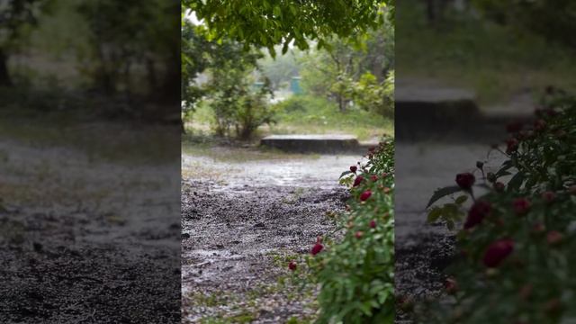 Михайловск