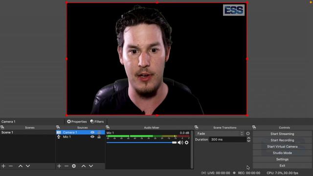 ESS - How to Setup a Green Screen in OBS смотреть онлайн
