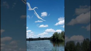 песня о лебединой верности(упала птица в камыши)