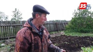 Рецепты из ревеня