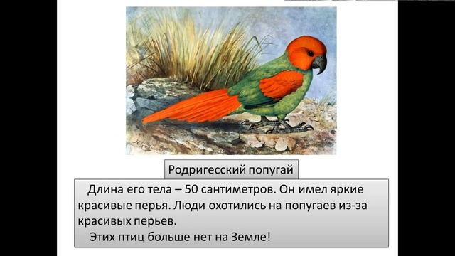 Почему надо охранять природу? смотреть онлайн