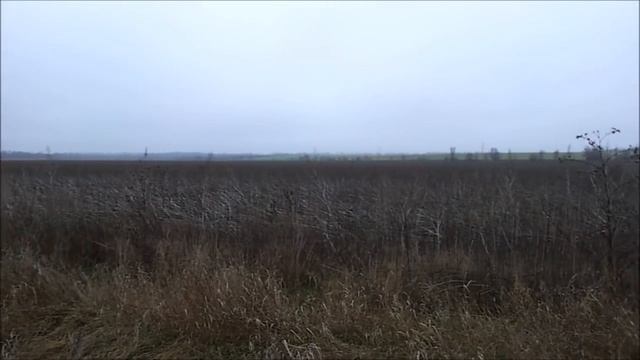 Деревенская жизнь и самое никчёмное занятие. смотреть онлайн