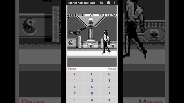 Reptile - Mortal Kombat 2 (Game Boy) (Java) смотреть онлайн
