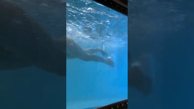 Турбинный противоток Poolstream, тренажер для плавания, мощный и современный противоток в бассейне смотреть онлайн