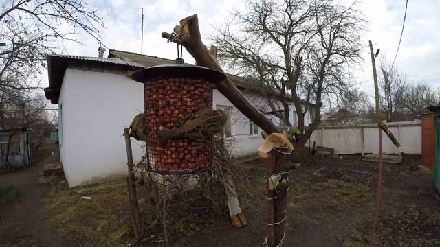 ВоробьиП спорят Синицы Арахис Сетчатая Сало Зима Денисово 13