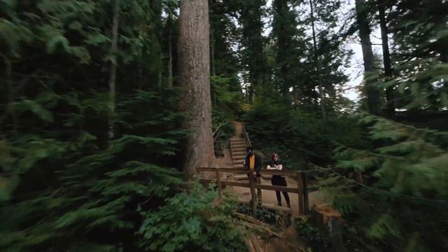 New DJI Avata FPV drone crashing through Twin Falls, Washington in 4K Cinematic смотреть онлайн