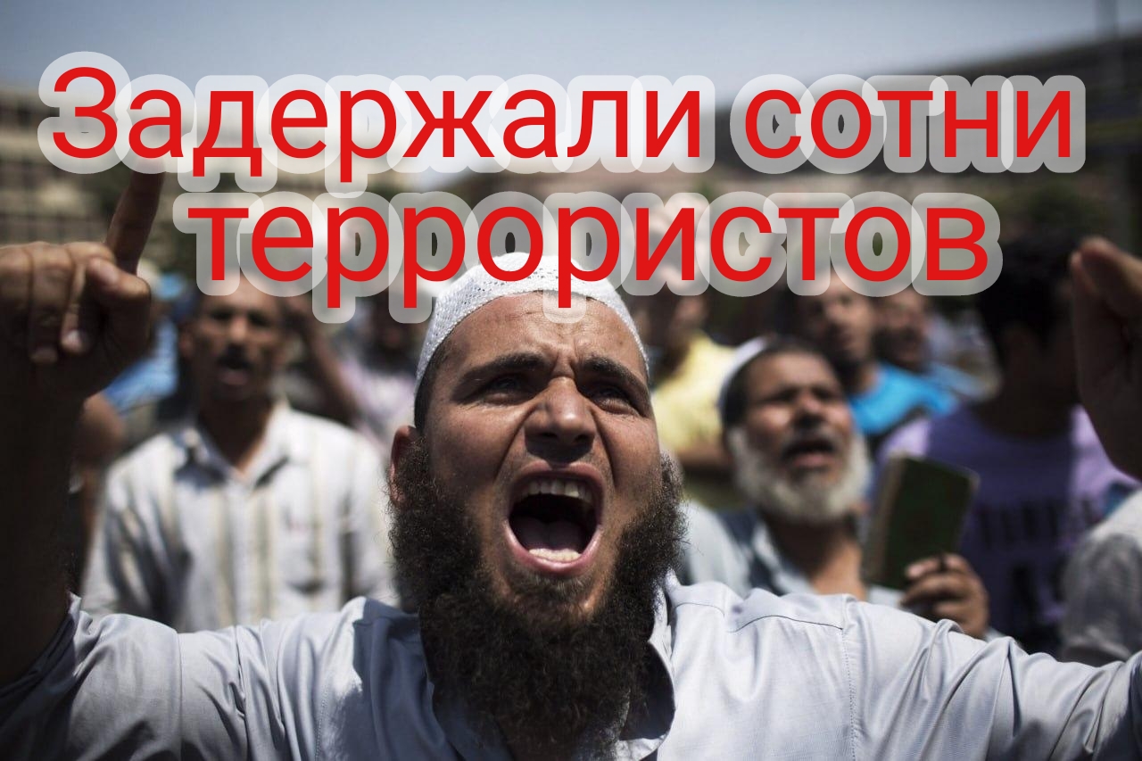 Задержали сотни террористов смотреть онлайн