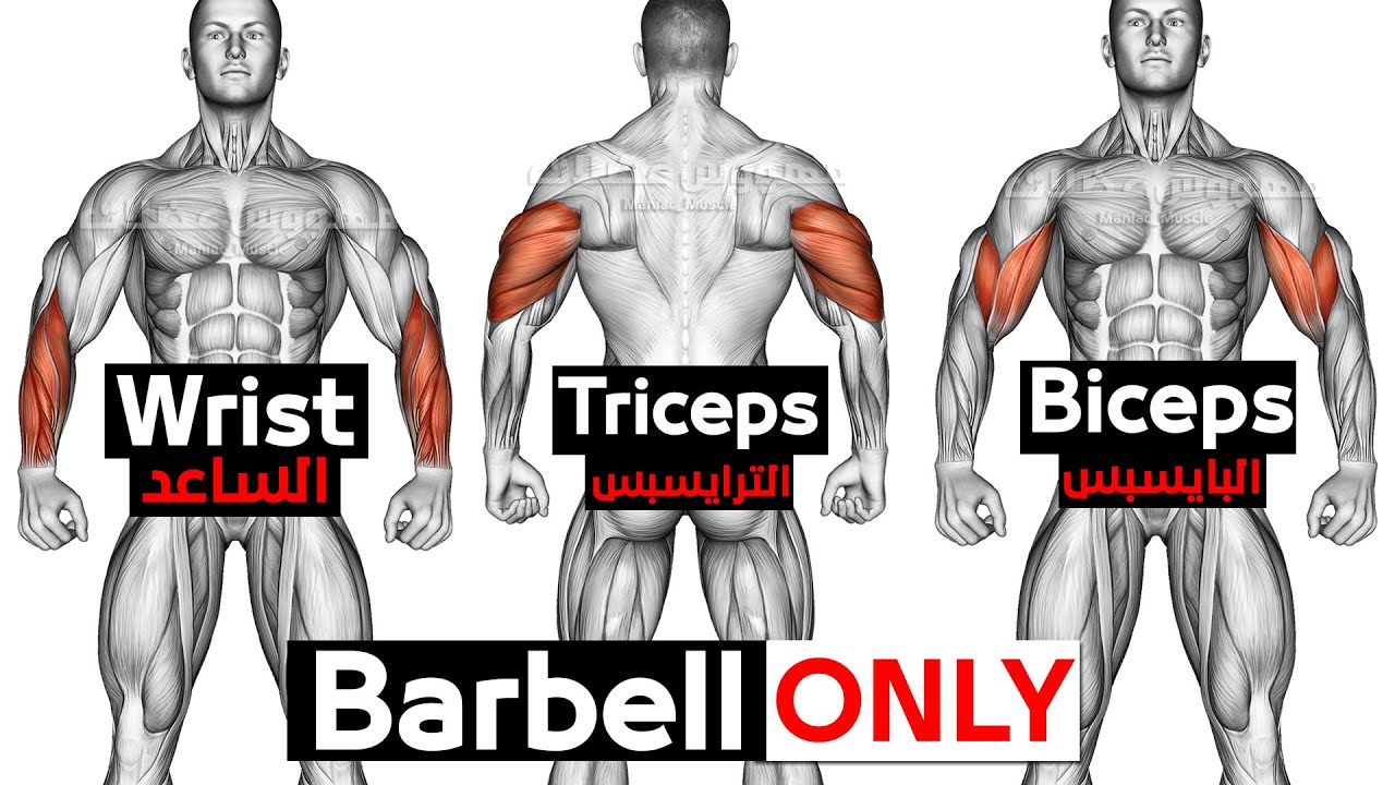 Лучшее упражнение для рук (бицепс, трицепс, запястье) смотреть онлайн