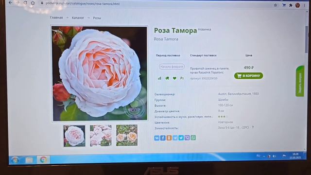 Мои заказы на весну 2022г. Что делать, если у Вас пересорт из "Подворья" ( мой опыт). смотреть онлайн