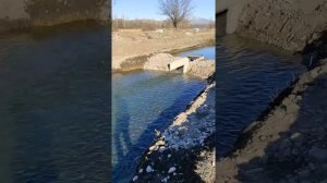 как строить пруд для разведения форели на маленькой воде.