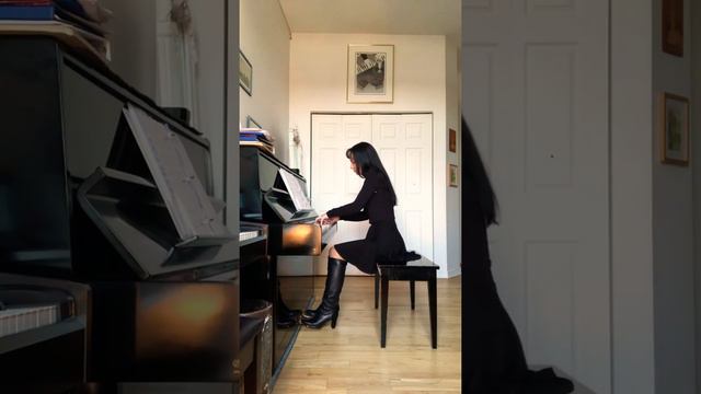 KARAOKE/accompaniment S. Rachmaninoff op.38 N1 « In my garden at night » | «Ночью в саду у меня» смотреть онлайн