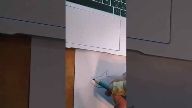 drawing a shark смотреть онлайн